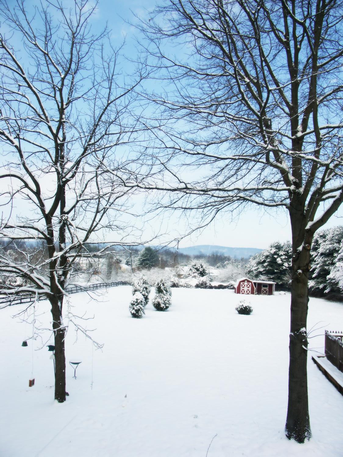 snow on the field with trees and a little barn - A winter scene - Tony Karp, design, art, photography, techno-impressionist, techno-impressionism, aerial photography , drone , drones , dji , mavic pro , video , 3D printing - Books -