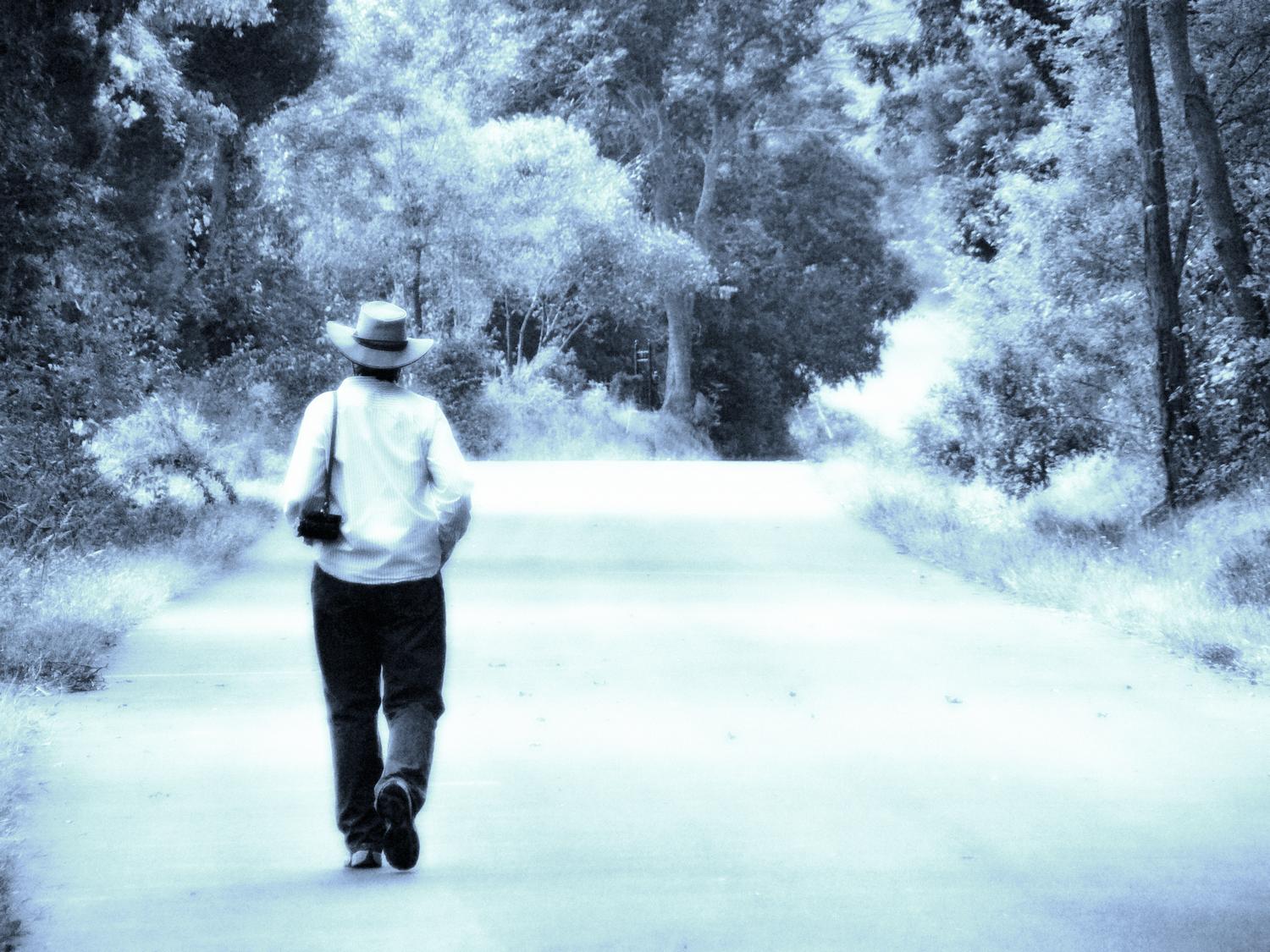  - Down the road - pictures of the Hobbitt - the artist's muse - I did this for Facebook - Tony Karp, design, art, photography, techno-impressionist, techno-impressionism, aerial photography , drone , drones , dji , mavic pro , video , 3D printing - Books -