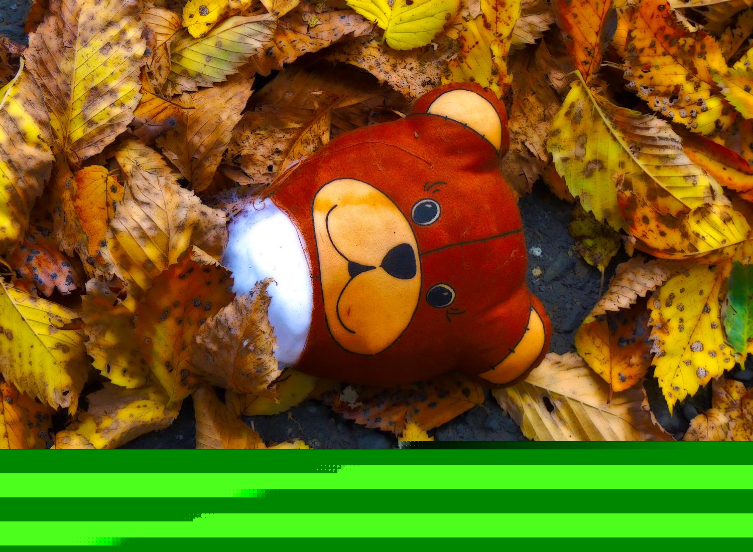 head from a stuffed bear in the leaves  - Warrenton, Virginia-  Panasonic DMC-FZ35 - The rest of Mrs. Bear. Some dastardly person left her bear headed. - Tony Karp, design, art, photography, techno-impressionist, techno-impressionism, aerial photography , drone , drones , dji , mavic pro , video , 3D printing - Books -