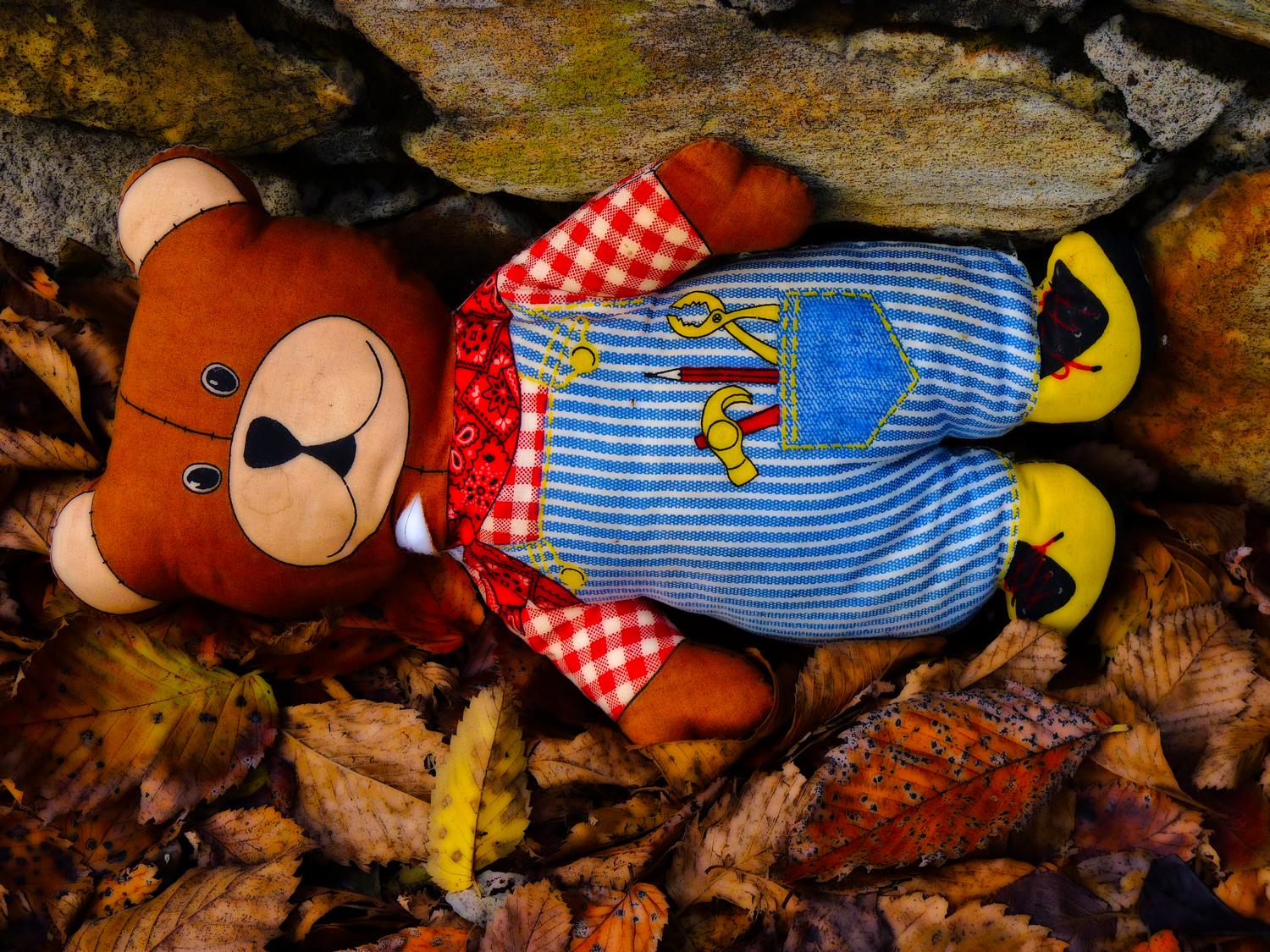 stuffed bear in the leaves from the front  - Warrenton, Virginia-  Panasonic DMC-FZ35 - On turning him over, our CSI team could not find any sign of foul play. - Tony Karp, design, art, photography, techno-impressionist, techno-impressionism, aerial photography , drone , drones , dji , mavic pro , video , 3D printing - Books -