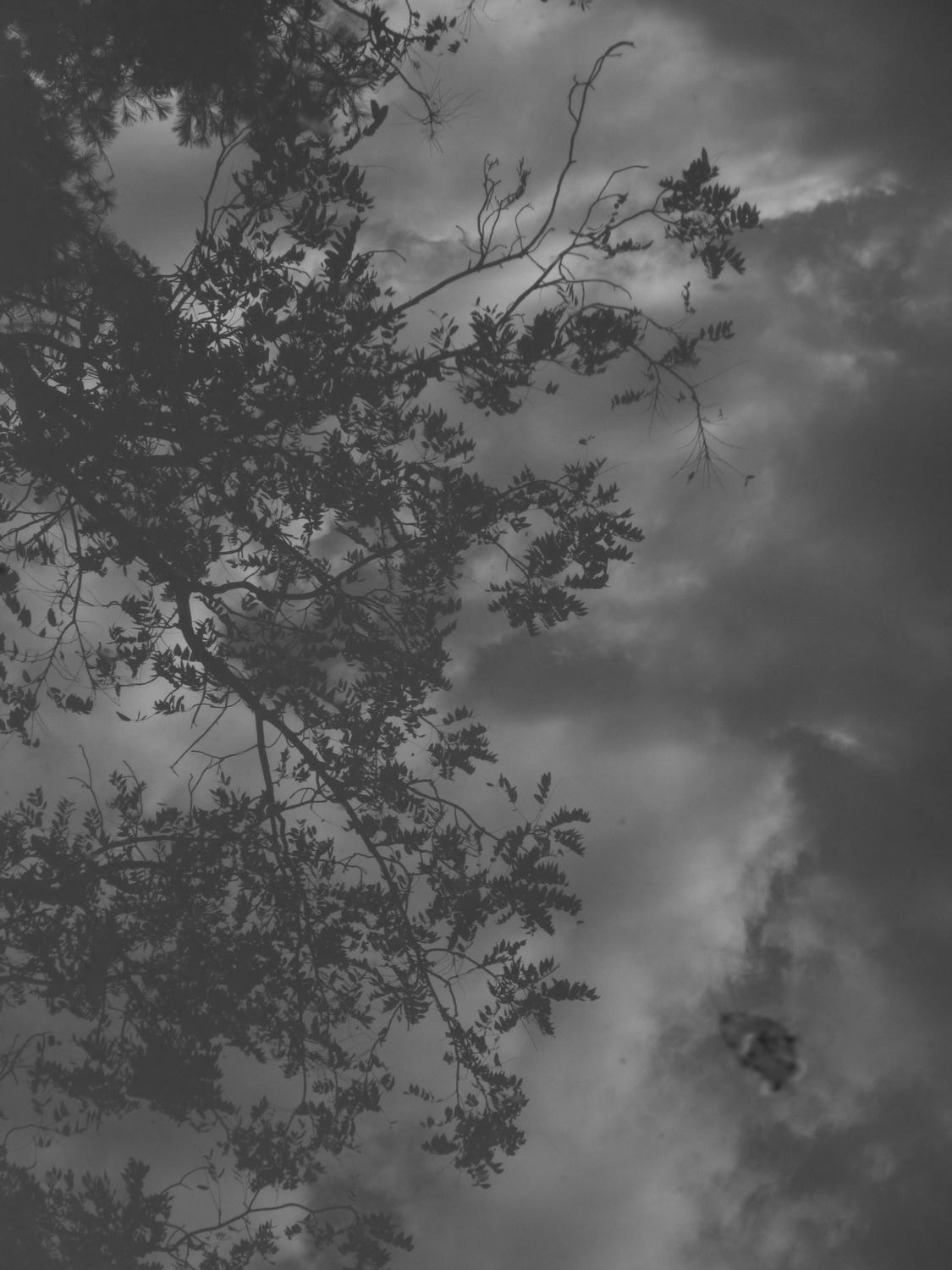  - Leaves and clouds reflected in the pool  <br>--- Click to see ORIGINAL --- - Panasonic DMC-ZS20 - Tony Karp, design, art, photography, techno-impressionist, techno-impressionism, aerial photography , drone , drones , dji , mavic pro , video , 3D printing - Books -