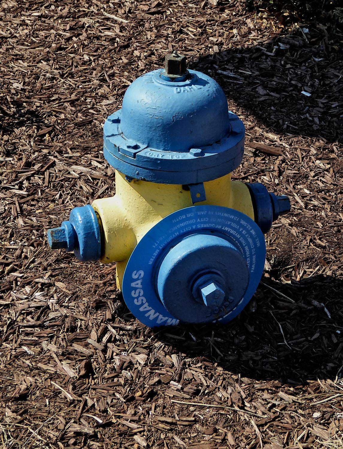  - This cute little fireplug has a tag telling where to return it in case it gets lost. - Manassas Virginia, Panasonic DMC-ZS40 - Tony Karp, design, art, photography, techno-impressionist, techno-impressionism, aerial photography , drone , drones , dji , mavic pro , video , 3D printing - Books -