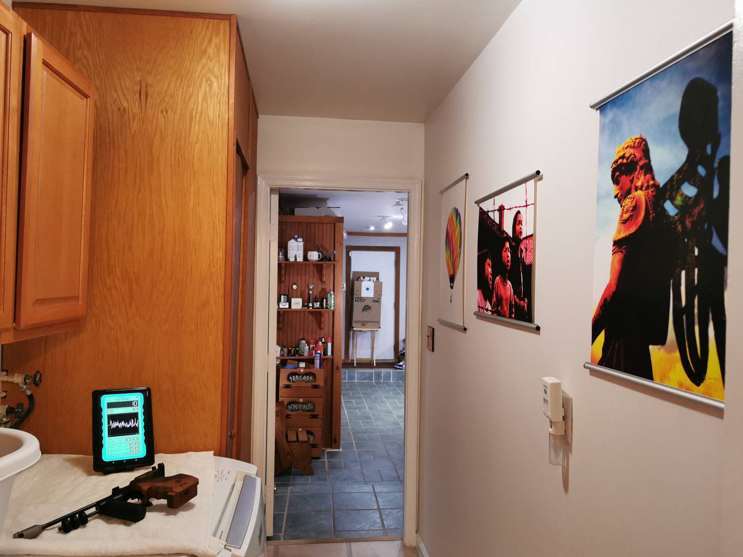  - My indoor 10-meter air pistol range.<br> I'm training for the 2040 Olympics. - Tony Karp, design, art, photography, techno-impressionist, techno-impressionism, aerial photography , drone , drones , dji , mavic pro , video , 3D printing - Books -